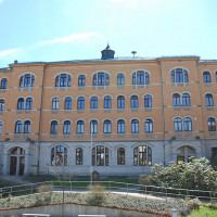 DSC7426