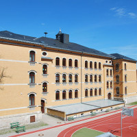 DSC7442