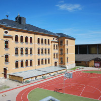 DSC7454